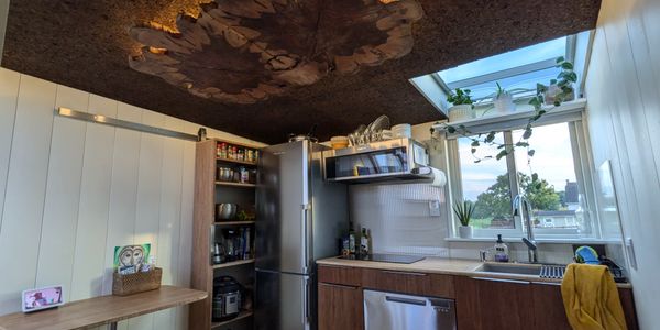 Roof Deck Tiny House Living image 5