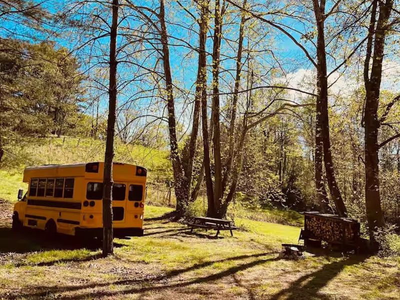 FOR SALE: "Layla” the Story-Filled Skoolie! image 2
