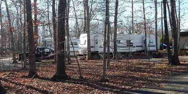 Small Country Campground image 3