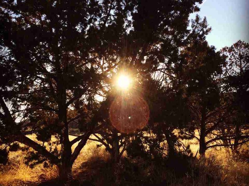 Animas Valley Village image 1
