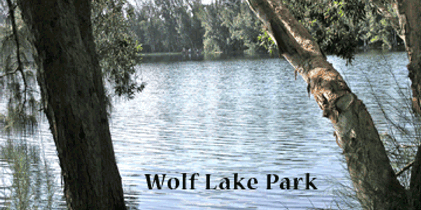 Wolf Lake Village image 3