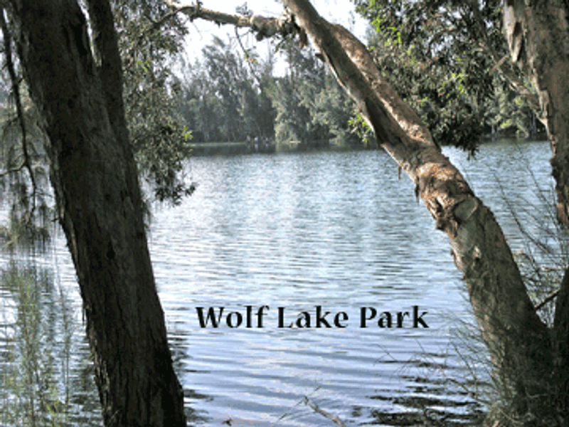 Wolf Lake Village