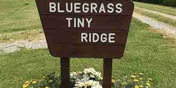 Bluegrass Tiny Ridge image 4