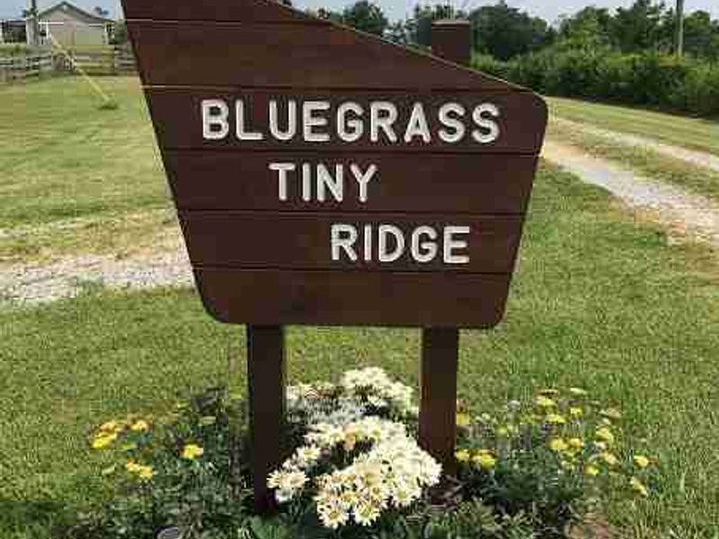 Bluegrass Tiny Ridge