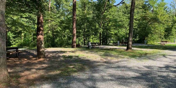 Charlottesville KOA image 3