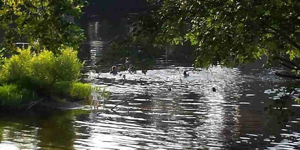 Horsehoe Flats Campground image 3