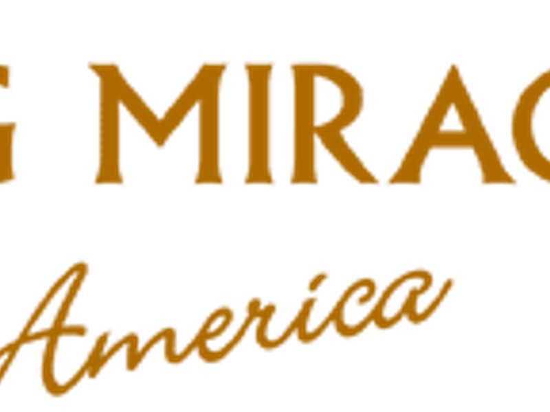 Living Miracles Worldwide image 1