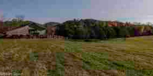 Shannon Farm Community image 4